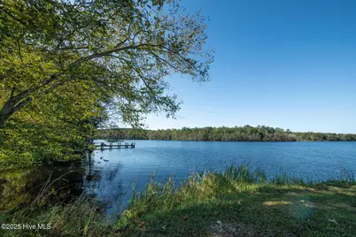 709 Everetts Mill Road, Rockingham, NC 28379 - Photo 65