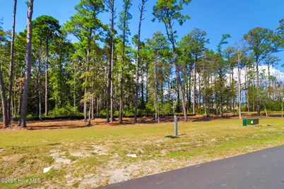 501 Freedom Park Road, Beaufort, NC 28516 - Photo 3