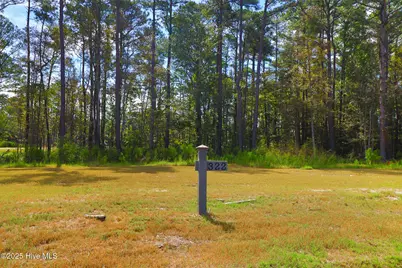 509 Swan Court, Beaufort, NC 28516 - Photo 3