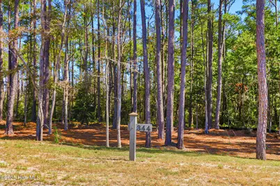 514 Freedom Park Road, Beaufort, NC 28516 - Photo 3