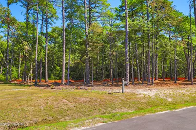 420 Summer Duck Drive, Beaufort, NC 28516 - Photo 3