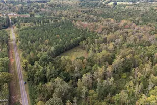 1435 Pineywood Church Rd, Cameron, NC 28326 - Photo 45
