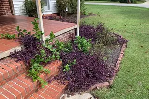 110 E Bell St, Tabor City, NC 28463 - Photo 61