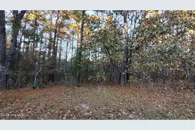 4 Brassie Circle, Jackson Springs, NC 27281 - Photo 5