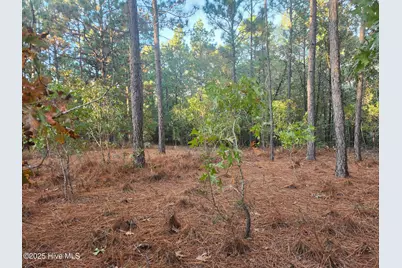 4 Brassie Circle, Jackson Springs, NC 27281 - Photo 1