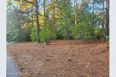 4 Brassie Circle, Jackson Springs, NC 27281 - Photo 3