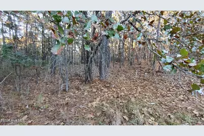4 Brassie Circle, Jackson Springs, NC 27281 - Photo 7