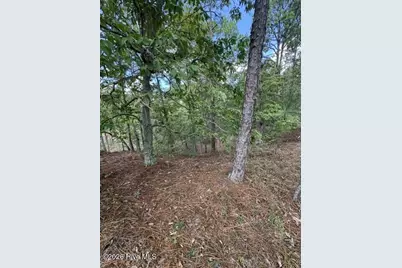 106 Parker Court, West End, NC 27376 - Photo 3