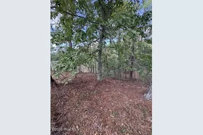 106 Parker Court, West End, NC 27376 - Photo 5