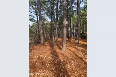 106 Parker Court, West End, NC 27376 - Photo 17