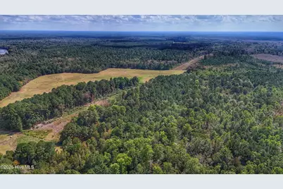 0 Burney Road, White Oak, NC 28399 - Photo 11
