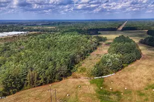 0 Burney Rd, White Oak, NC 28399 - Photo 1