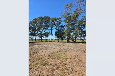 3810 Windy Point Road SW, Supply, NC 28462 - Photo 5
