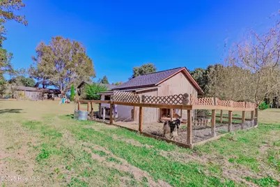 451 Tracy Brown Road, Magnolia, NC 28453 - Photo 9