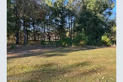 Lot 14 N Cape Fear Drive, Hertford, NC 27944 - Photo 1