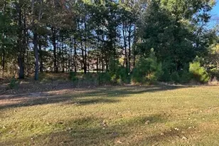 Lot 14 N Cape Fear Dr, Hertford, NC 27944 - Photo 1