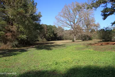 0 Cedar Lane Road, Sanford, NC 27332 - Photo 5
