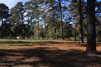 00 Cedar Lane Road, Sanford, NC 27332 - Photo 11