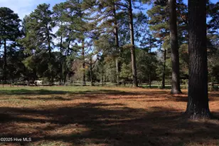 00 Cedar Ln Rd, Sanford, NC 27332 - Photo 11