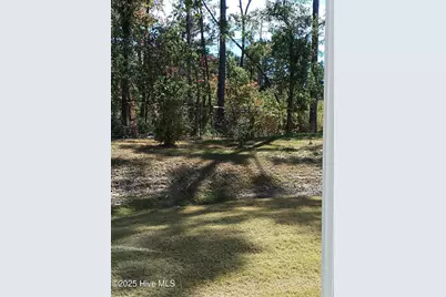3010 Alibird Lane, Carthage, NC 28327 - Photo 19