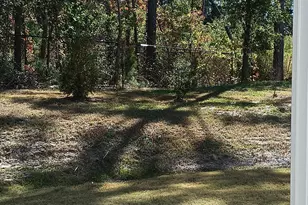 3010 Alibird Ln, Carthage, NC 28327 - Photo 19
