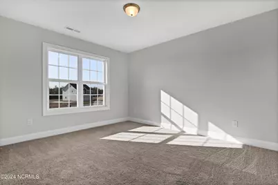 719 Puppy Drum Lane, Maysville, NC 28555 - Photo 21