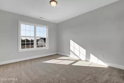 719 Puppy Drum Lane, Maysville, NC 28555 - Photo 25
