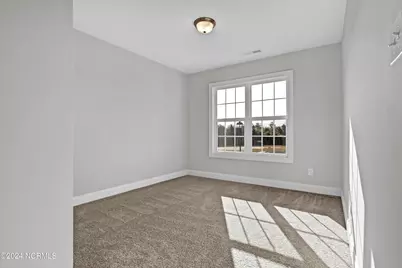 719 Puppy Drum Lane, Maysville, NC 28555 - Photo 23