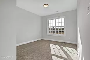 719 Puppy Drum Ln, Maysville, NC 28555 - Photo 23