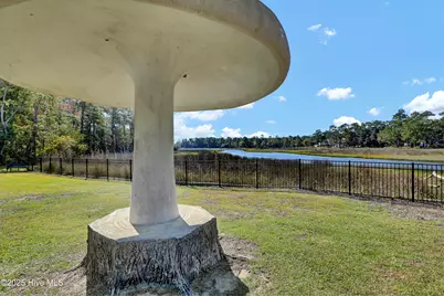 102 Osprey Nest Lane, Hampstead, NC 28443 - Photo 37