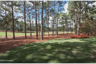 310 Inverrary Road, Pinehurst, NC 28374 - Photo 51