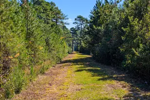2580 Ash Little River Rd NW, Ash, NC 28420 - Photo 31
