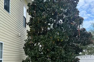 105 Everette Ct, Newport, NC 28570 - Photo 7
