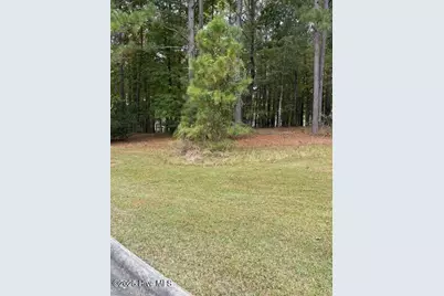 3808 Lichen Lane, New Bern, NC 28562 - Photo 3