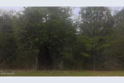 569 Hwy 58 S, Kinston, NC 28504 - Photo 1