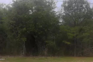 569 Hwy 58 S, Kinston, NC 28504 - Photo 1