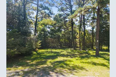 4427 Coward Trail SW, Shallotte, NC 28470 - Photo 7