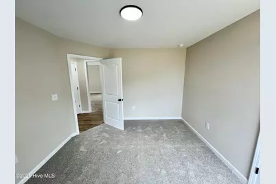 52 Grace Pond Avenue, Benson, NC 27504 - Photo 17