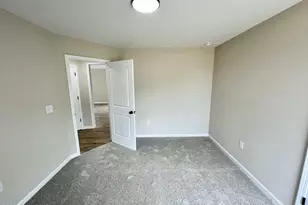 52 Grace Pond Ave, Benson, NC 27504 - Photo 17