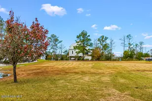 363 Cabin Creek Rd, Merritt, NC 28556 - Photo 101