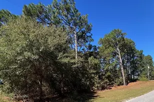 Tbd Cloud Ave, Hamlet, NC 28345 - Photo 1
