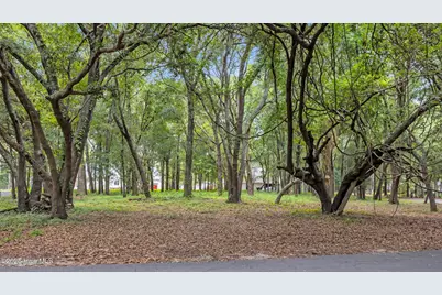 1900 Egret Street SW, Shallotte, NC 28470 - Photo 1