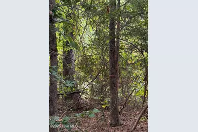 122 N State Lane, Rockingham, NC 28379 - Photo 7