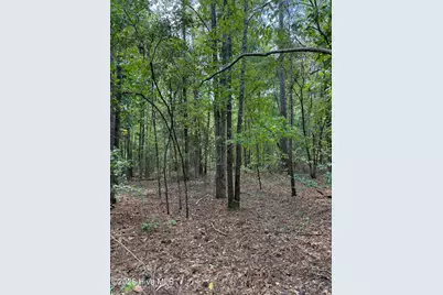 122 N State Lane, Rockingham, NC 28379 - Photo 5