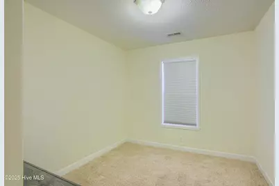 113 Tillett Lane, Sneads Ferry, NC 28460 - Photo 19
