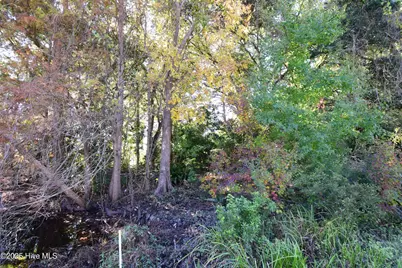 246 Shoreline Drive, New Bern, NC 28562 - Photo 3