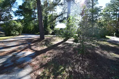 246 Shoreline Drive, New Bern, NC 28562 - Photo 13