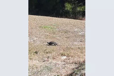 [Address not provided], Hubert, NC 28539 - Photo 53