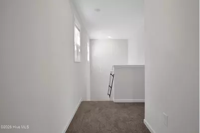 208 Buggy Top Lane, Autryville, NC 28318 - Photo 19