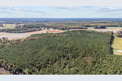 0 Nc 43, Whitakers, NC 27891 - Photo 11